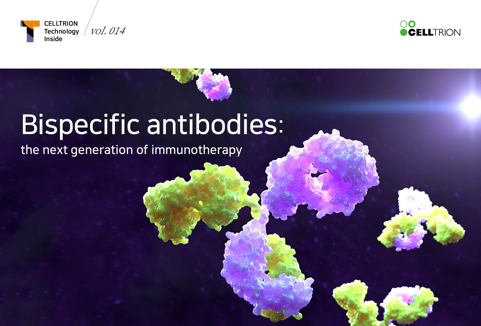 Bispecific antibodies : the next generation of immunotherapy
